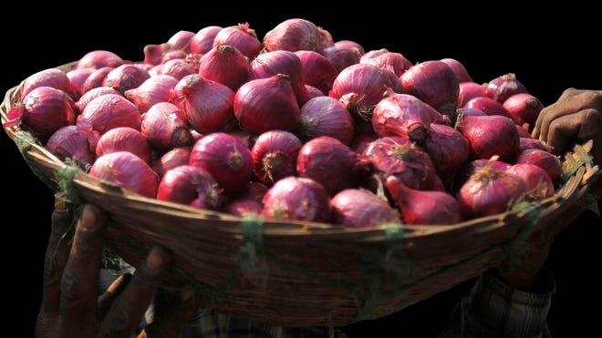 red onion.jpg